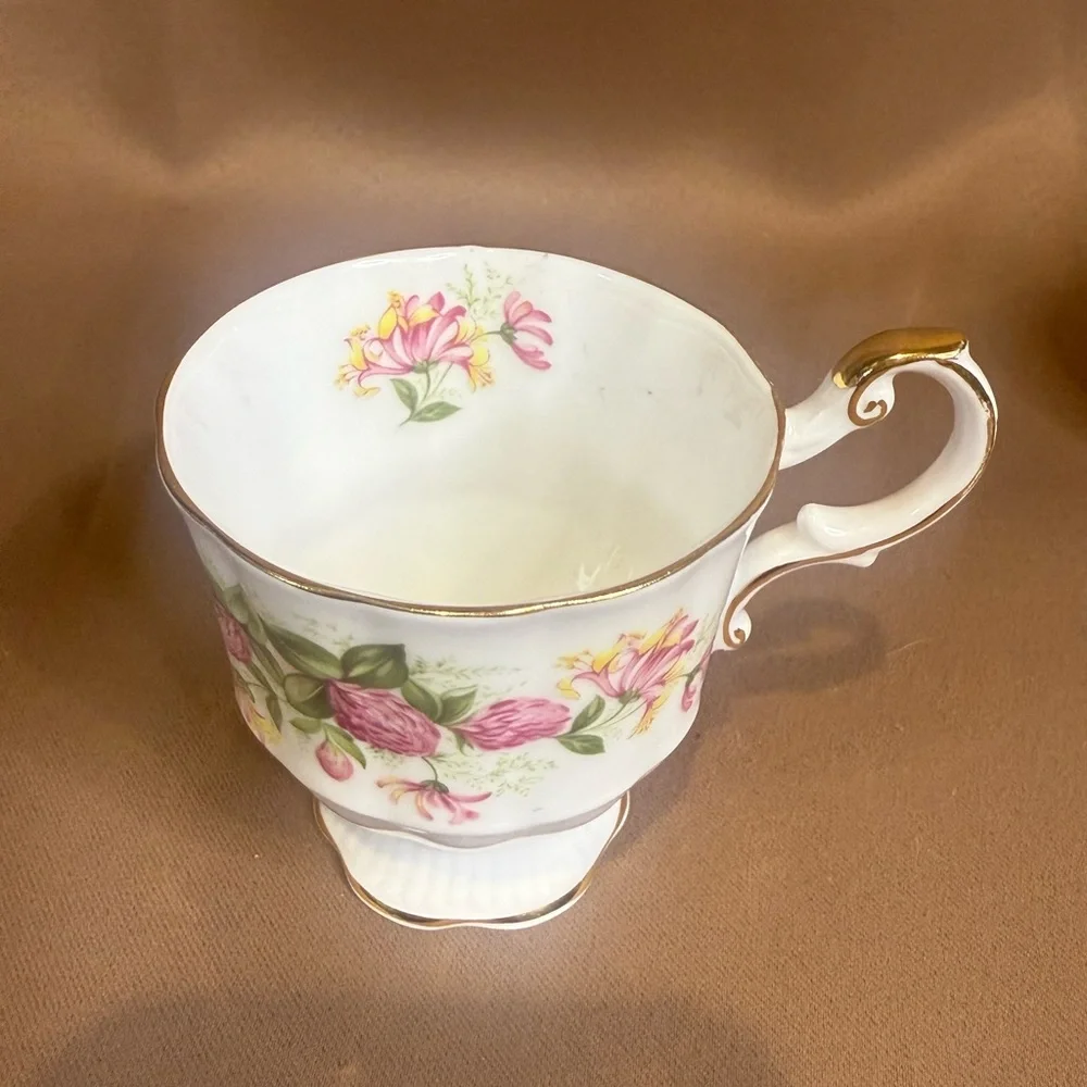 Rosina Fine Bone China Teacup - Picture 2 of 7